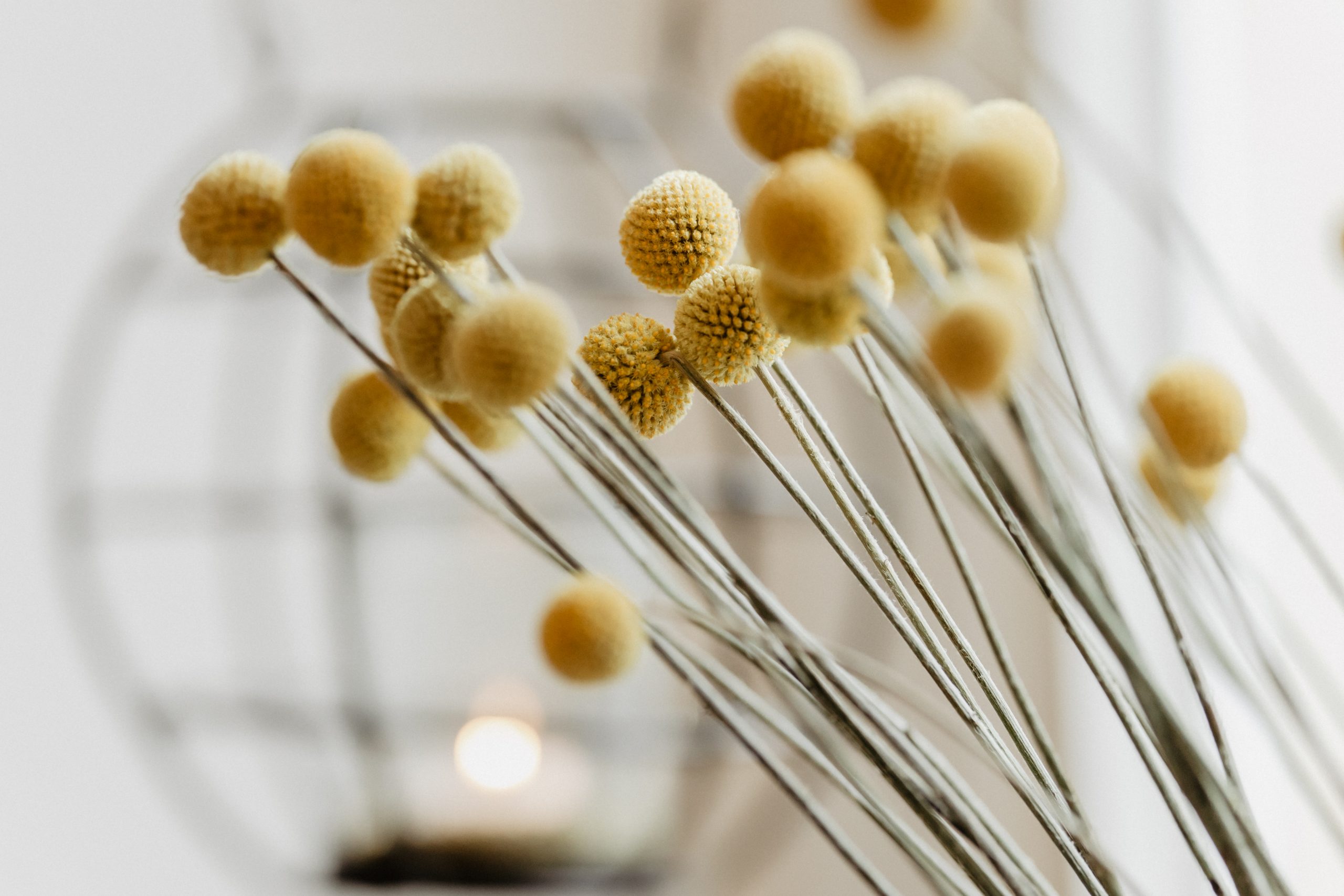 Futurelife-home2-slideshow