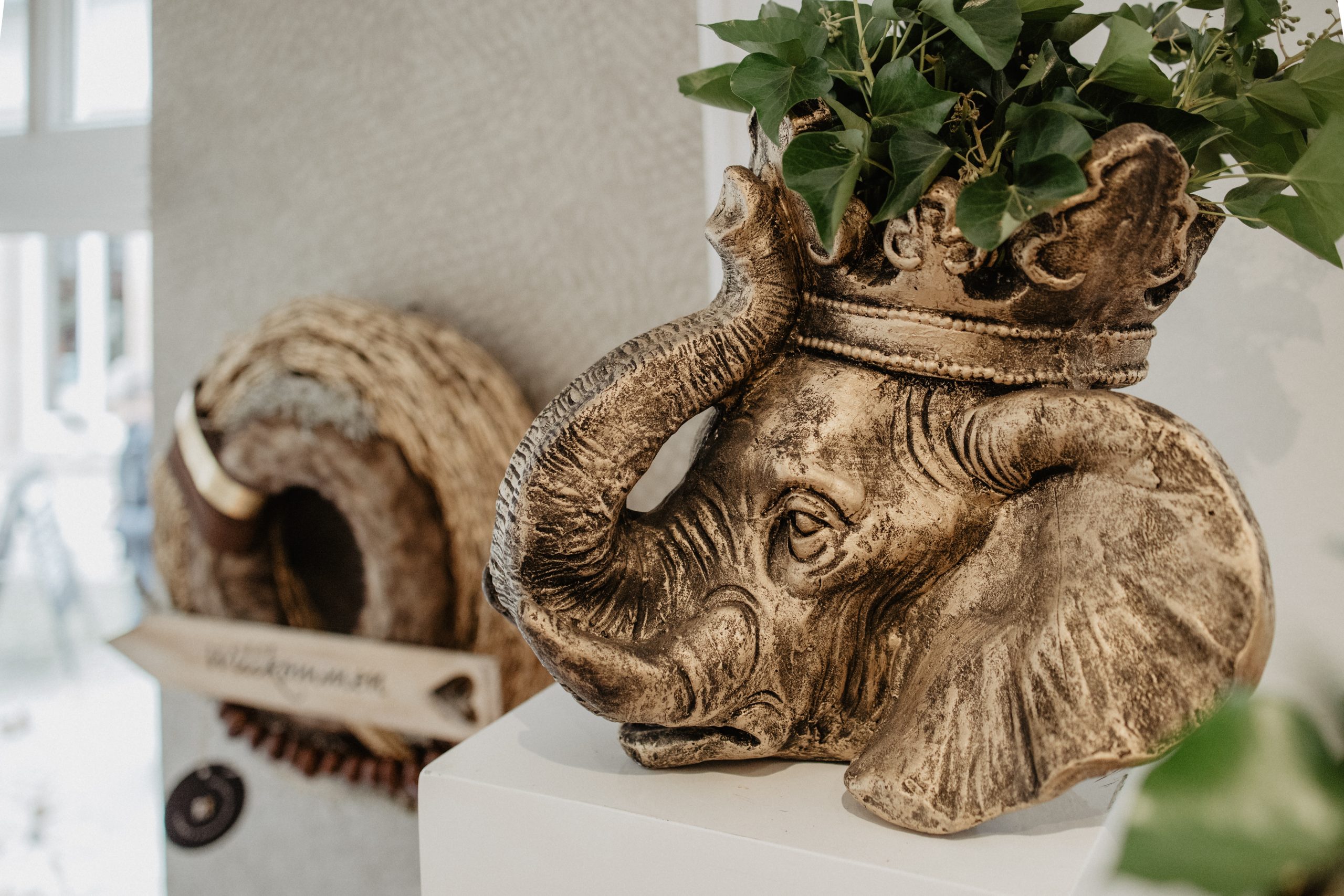 Futurelife-home2-slideshow