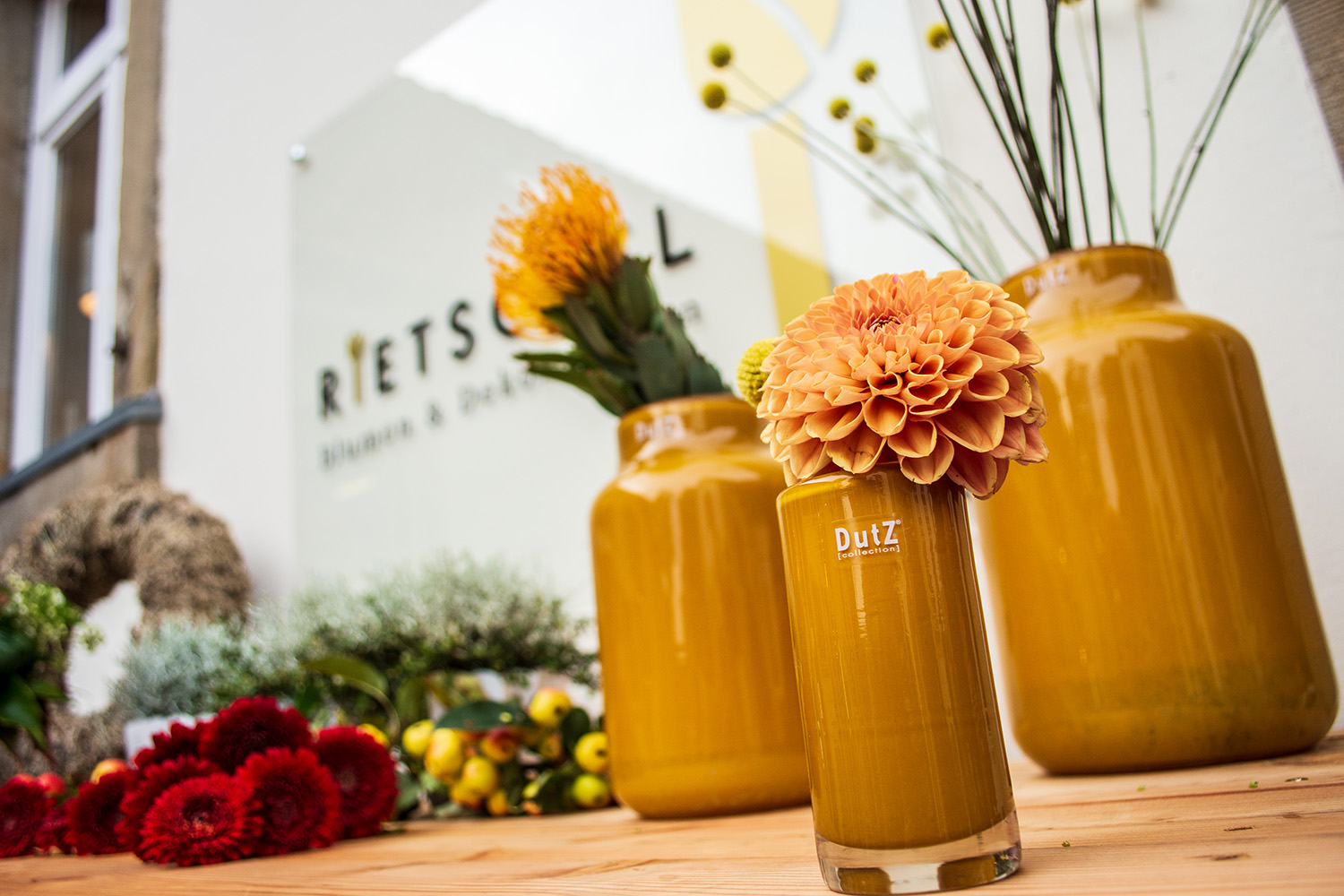 Futurelife-home2-slideshow