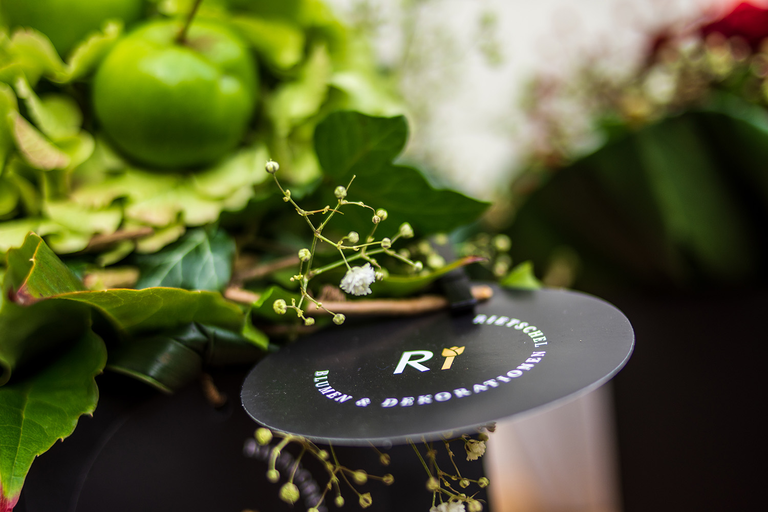 Futurelife-home2-slideshow