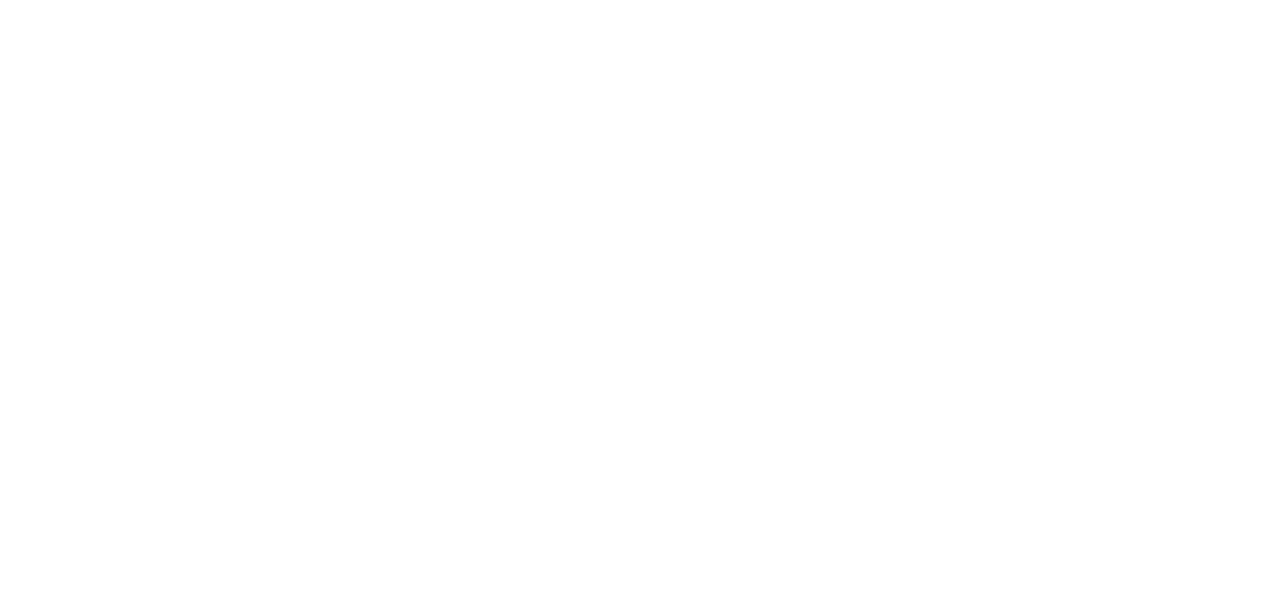 DutZ Logo
